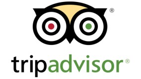 TripAdvisor Logo